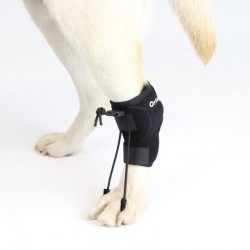 Ortocanis - Dispozitiv pentru corecția pasului pentru câini