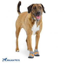 Walkinpets - încălțăminte pentru câini (2 buc)
